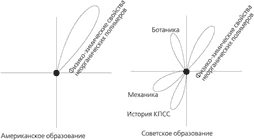 Развитие ребенка (американское образование)